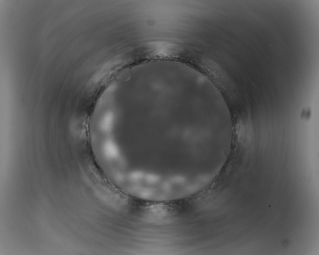 X0000114580423200911161313