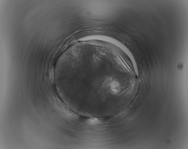 X0000114580425200911161313