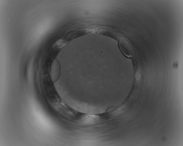 X0000114580429200911161313