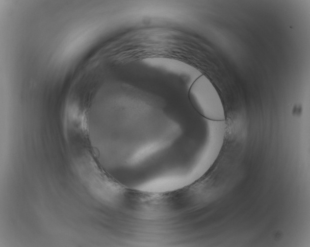 X0000114580431200911161313