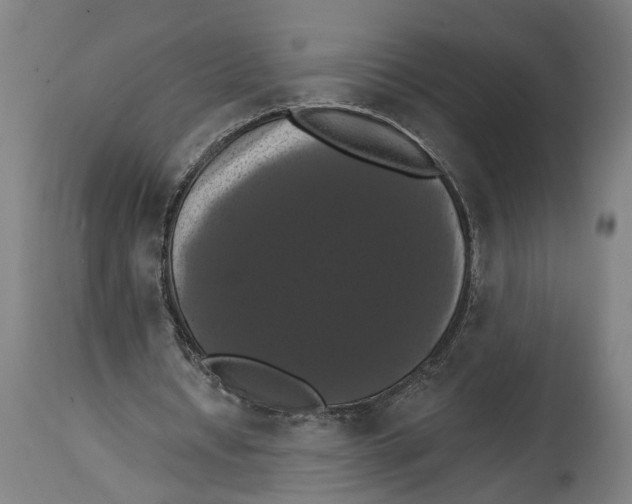 X0000114580434200911161313