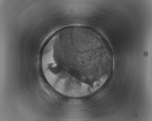 X0000114580435200911161313