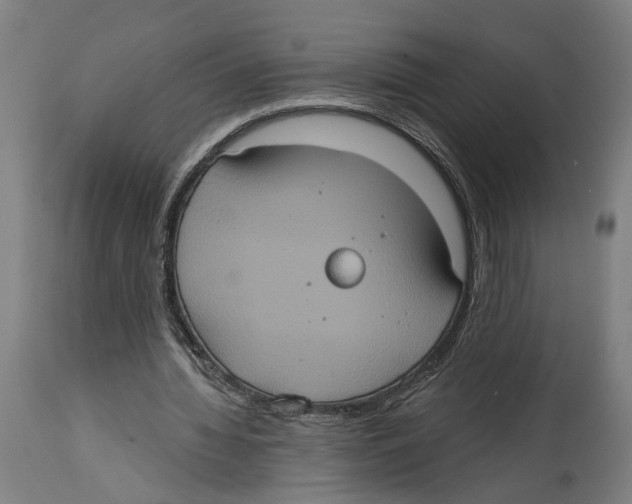 X0000114580436200911161313