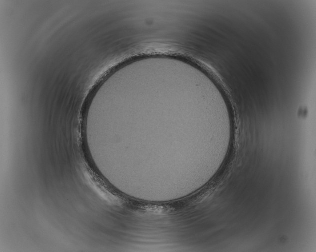 X0000114580439200911161313