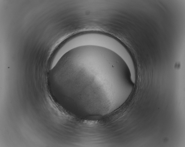 X0000114580440200911161313