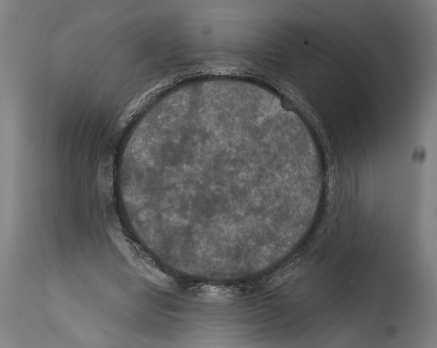 X0000114580442200911161313