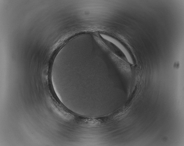 X0000114580443200911161313