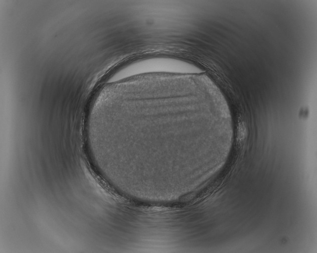 X0000114580444200911161313