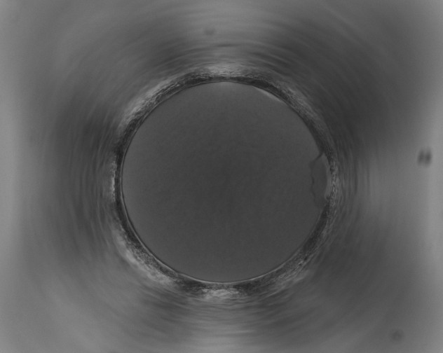 X0000114580446200911161313