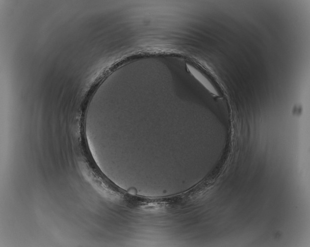 X0000114580447200911161313