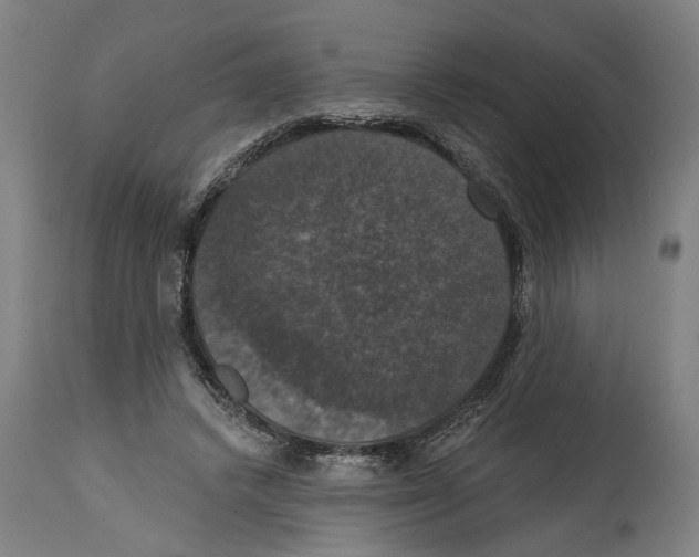 X0000114580448200911161313