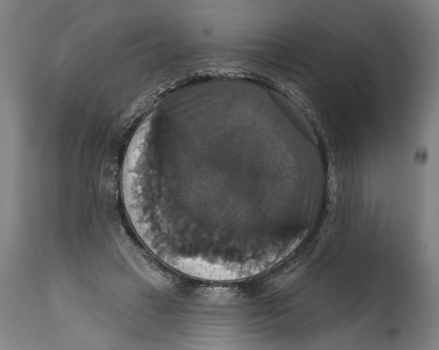 X0000114580449200911161313