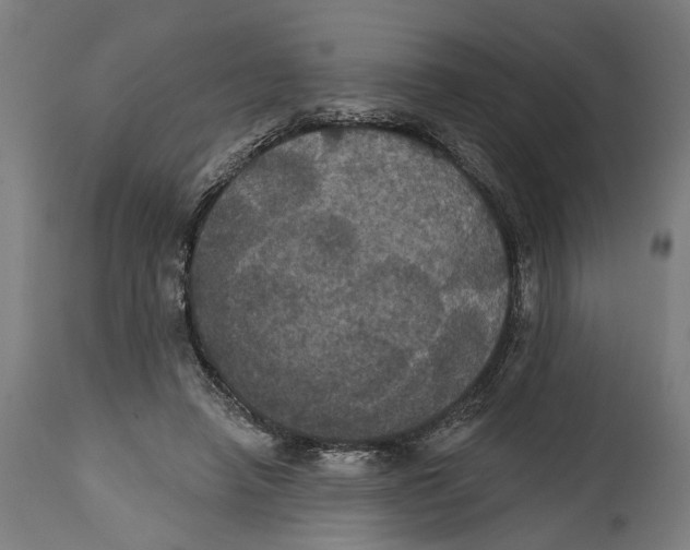 X0000114580450200911161313