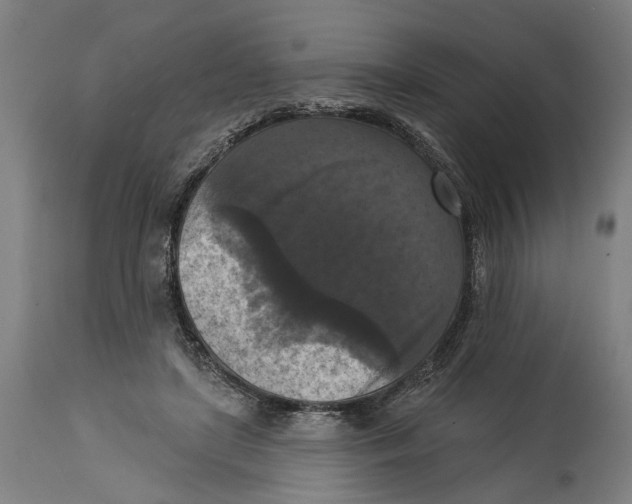 X0000114580451200911161313