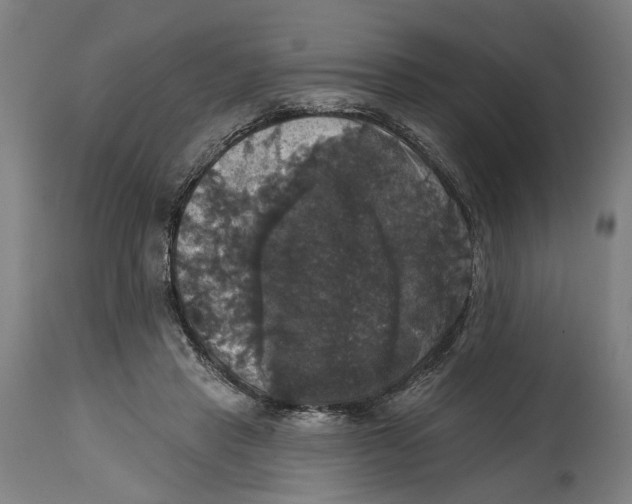 X0000114580453200911161313