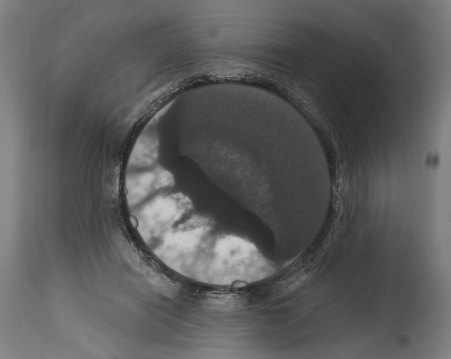 X0000114580454200911161313