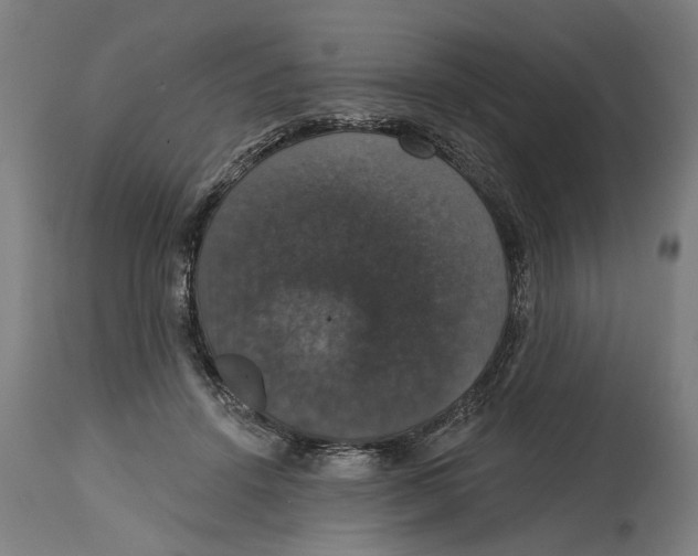 X0000114580456200911161313