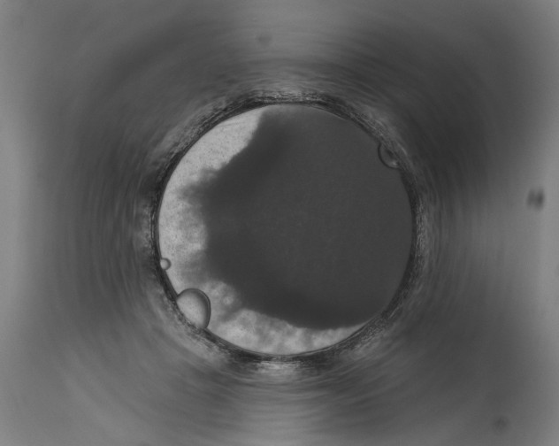 X0000114580457200911161313