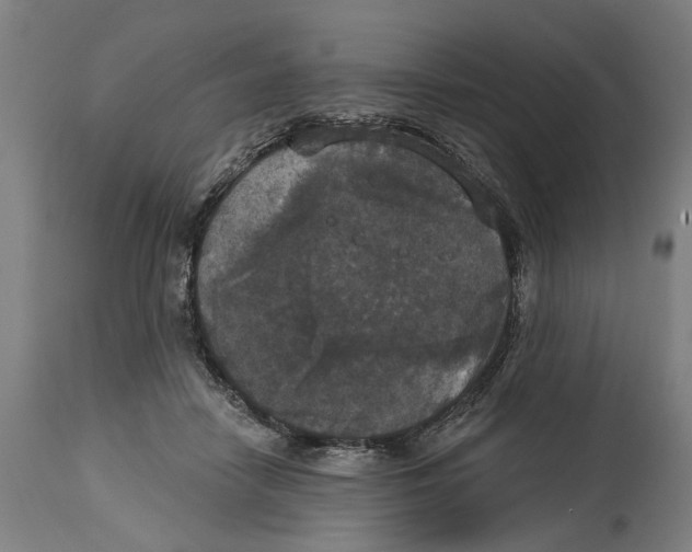 X0000114580458200911161313