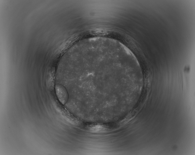 X0000114580460200911161313