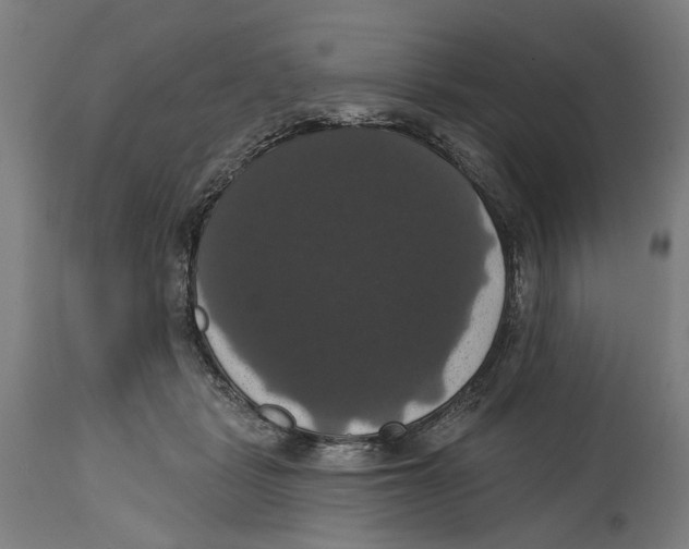 X0000114580461200911161313