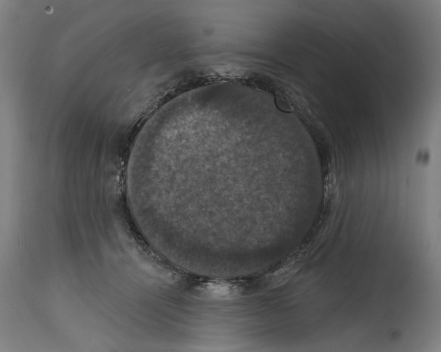 X0000114580464200911161313