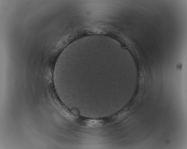 X0000114580465200911161313