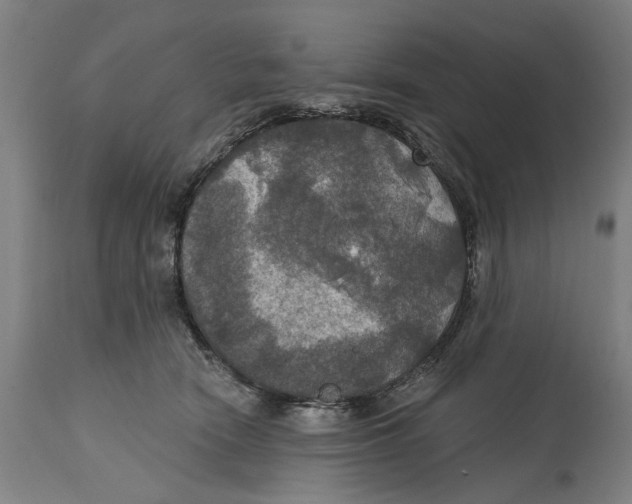 X0000114580466200911161313