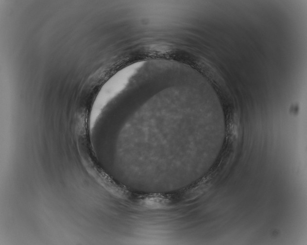 X0000114580468200911161313