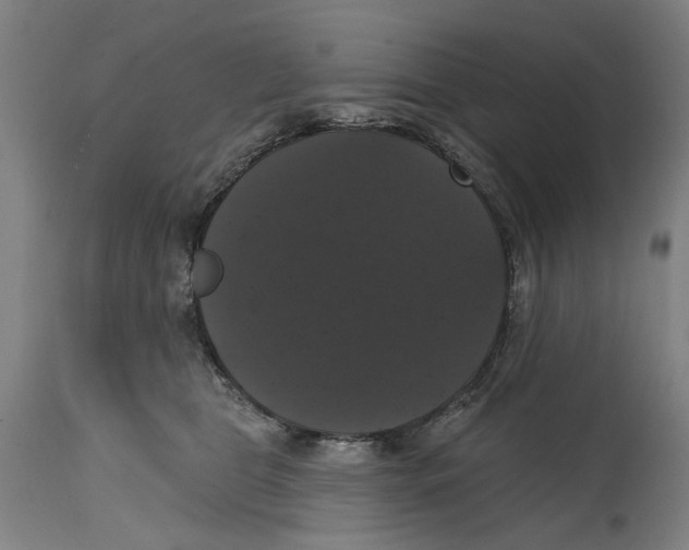 X0000114580469200911161313