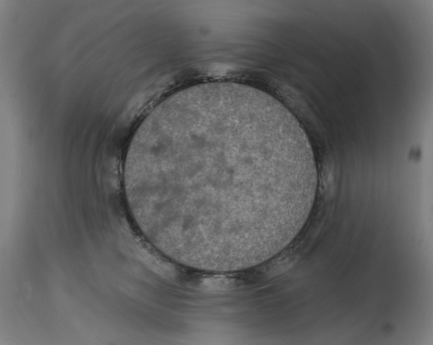 X0000114580470200911161313