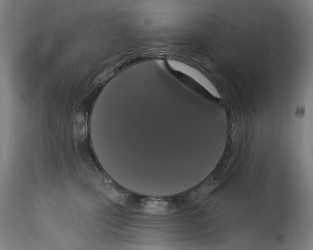 X0000114580471200911161313