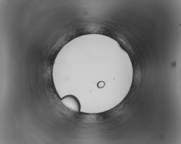 X0000114580473200911161313