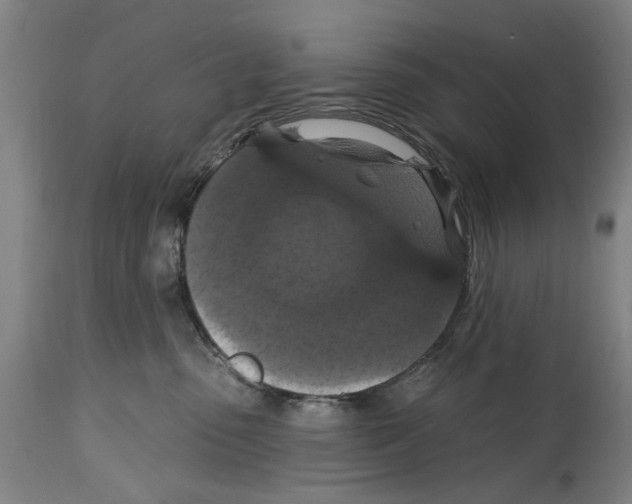 X0000114580475200911161313