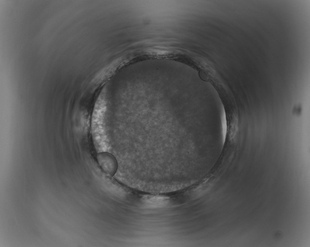 X0000114580476200911161313