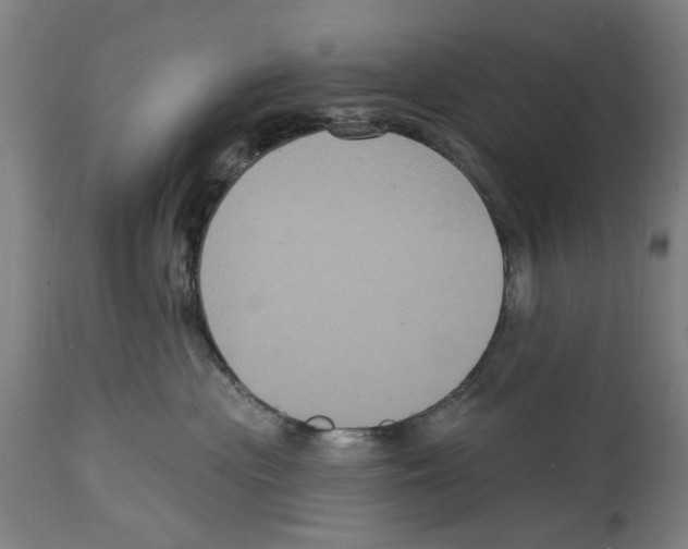 X0000114580477200911161313