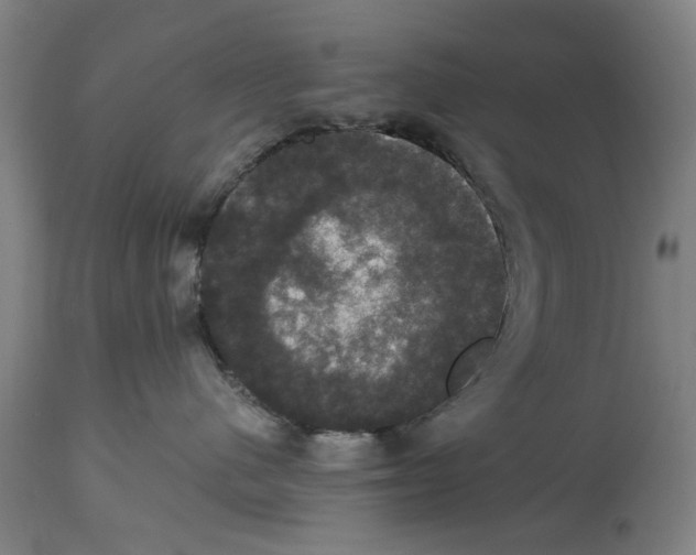 X0000114580480200911161313