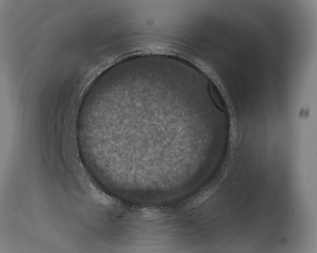 X0000114580481200911161313