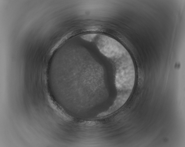 X0000114580482200911161313