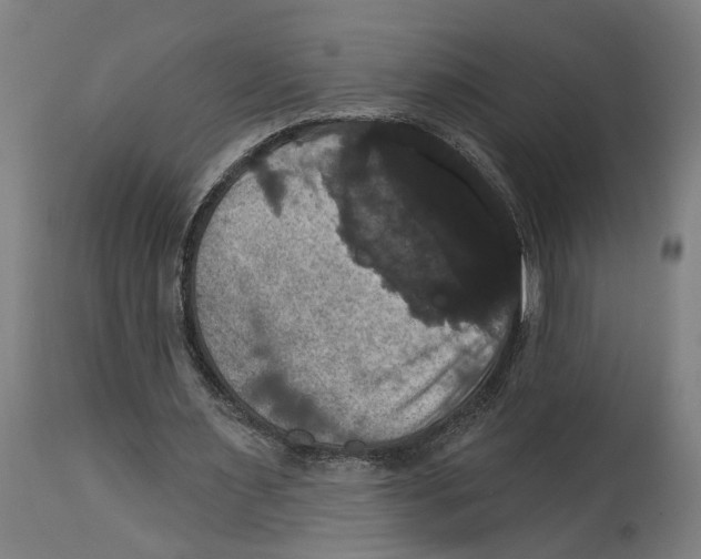 X0000114580483200911161313