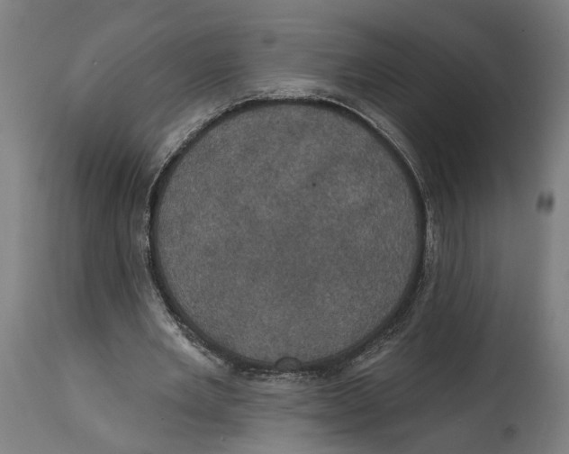 X0000114580485200911161313