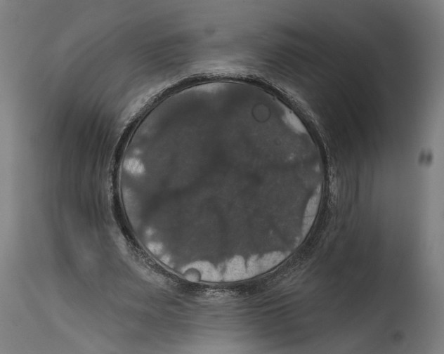 X0000114580487200911161313