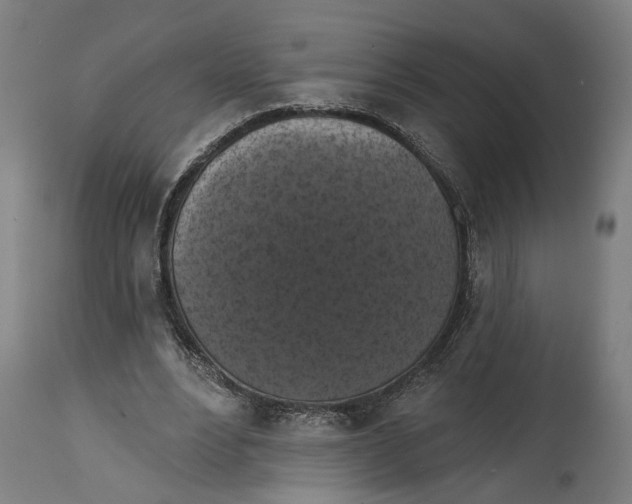 X0000114580488200911161313