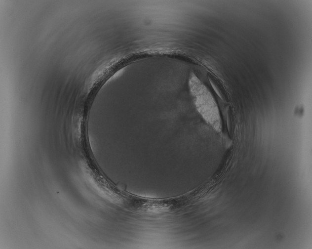 X0000114580491200911161312