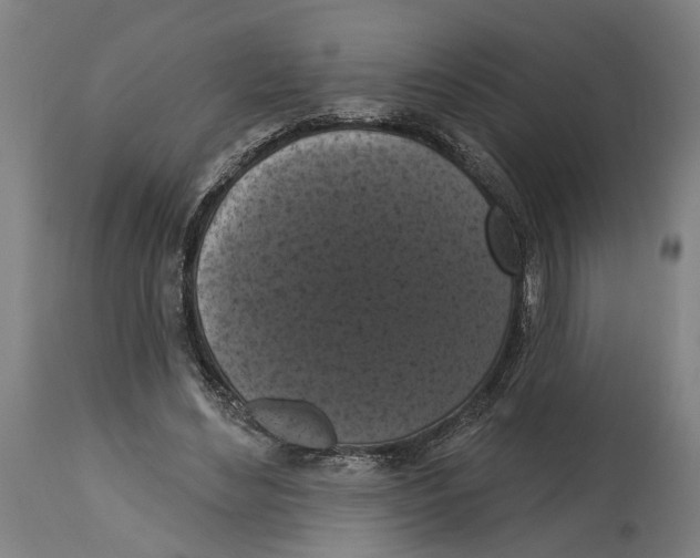 X0000114580492200911161312