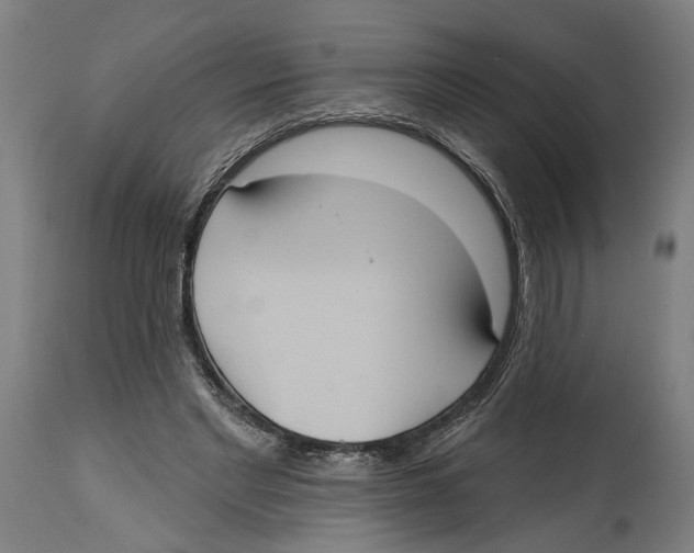 X0000114580493200911161312