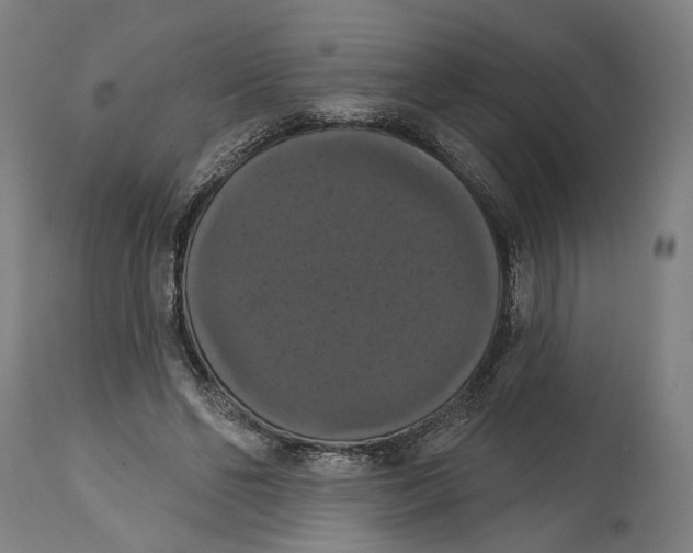 X0000114580494200911161312