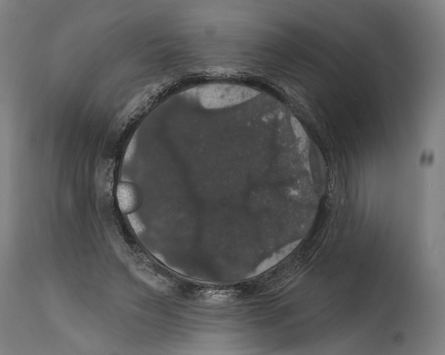 X0000114580495200911161312