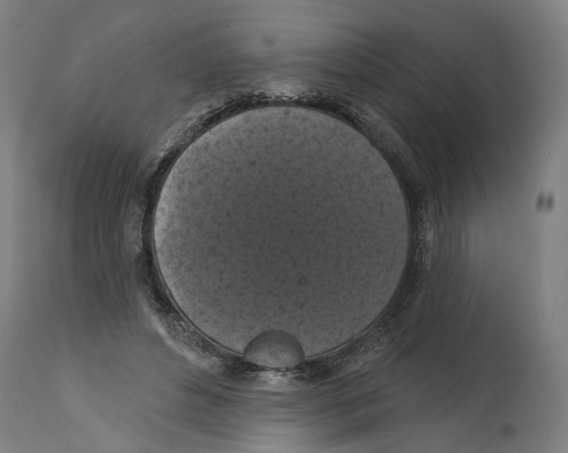 X0000114580496200911161312