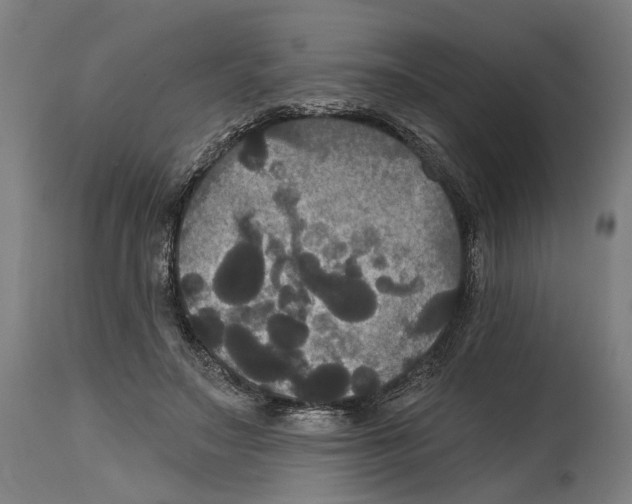 X0000114580499200911161312